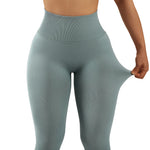 FitFlex