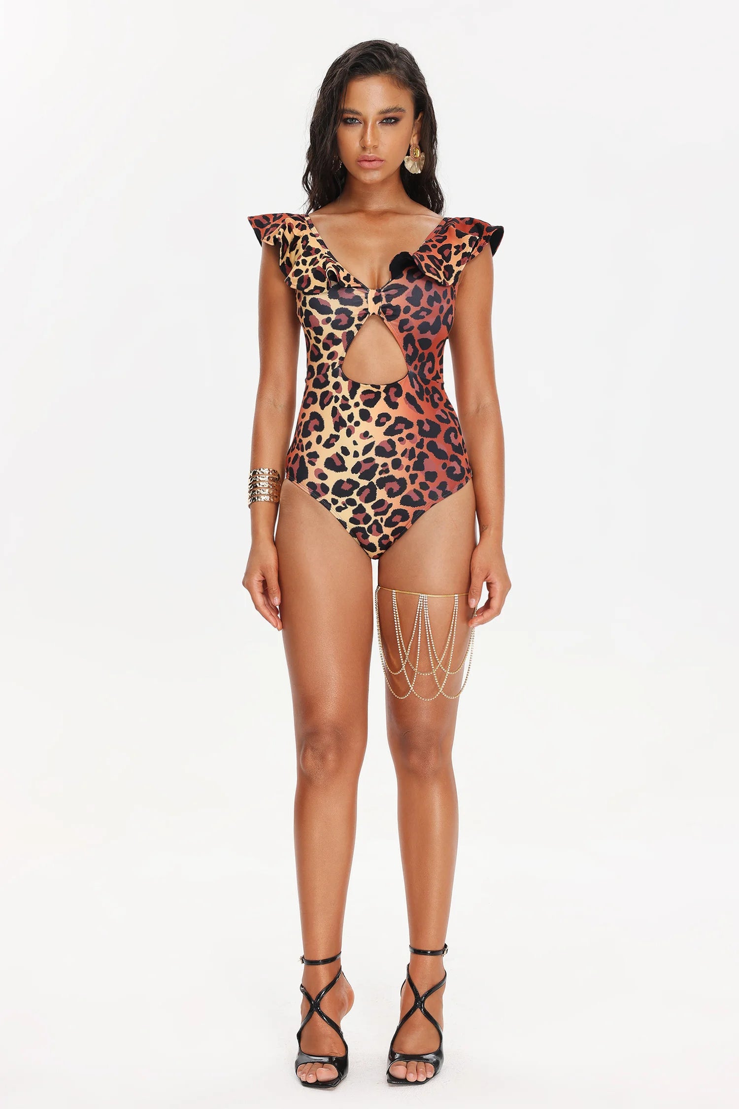 Roche Gradient Leopard Print Swimsuit (2)